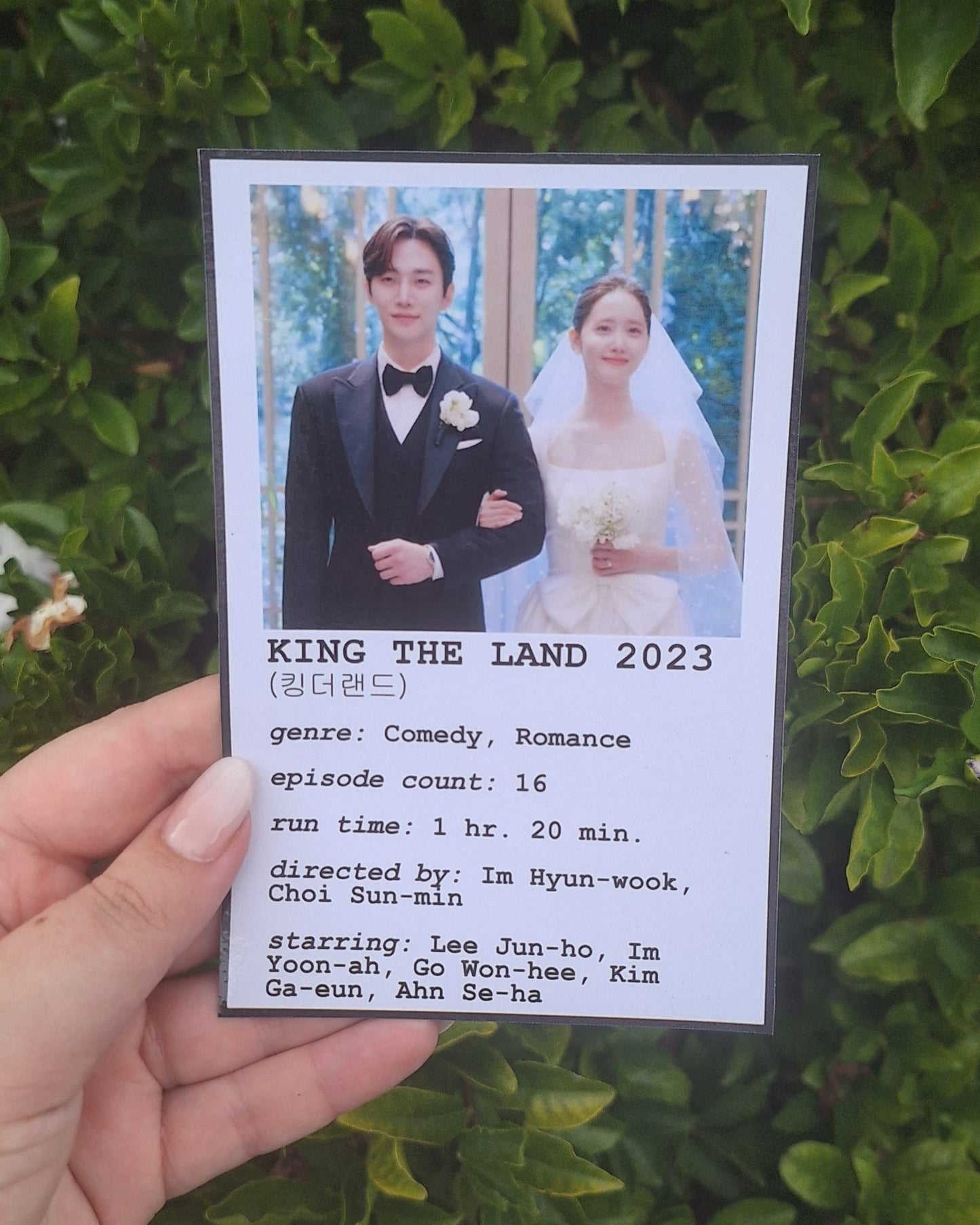 King The Land Polaroid Print